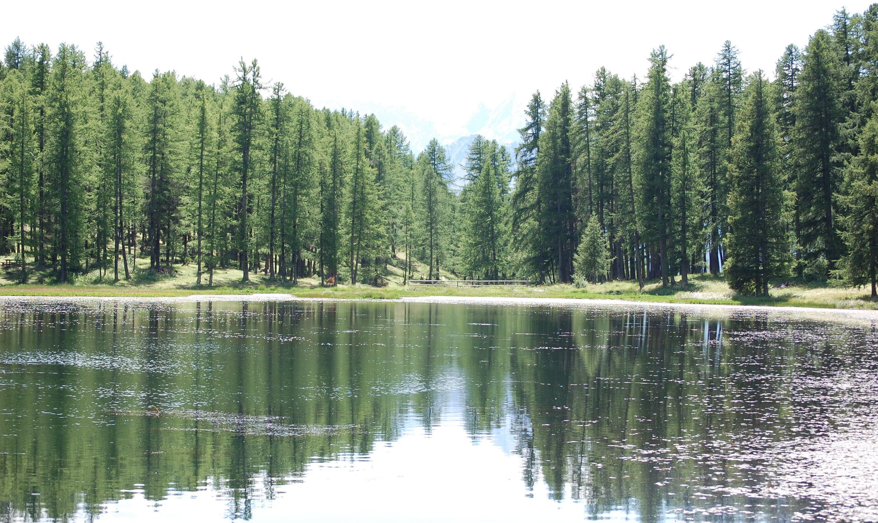 Um lago rodeado por floresta densa e montanhas.
