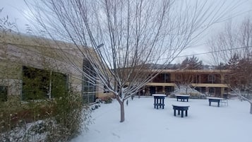 Façana frontal de l'allotjament