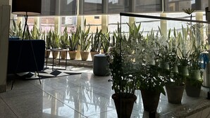 A spacious lobby with large windows, potted plants, and a modern ceiling fan. - Gallivanto Inn (New Delhi)