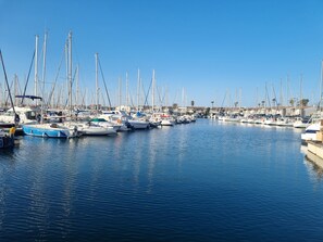 A marina with multiple boats docked, calm water, and a clear sky. - Studio + Parking Space Port Capistol Cap2 (Agde)