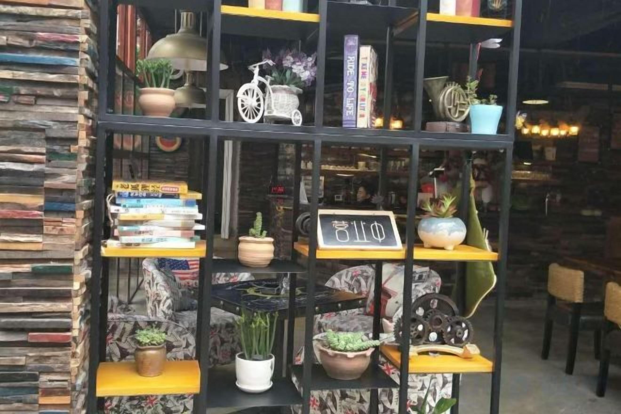 A bookshelf with books, decorative items, and potted plants.