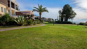 Zona residencial con un camino, palmeras y vista al mar.