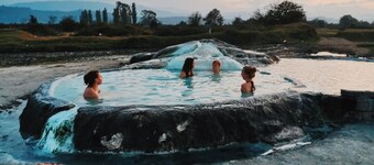 Dingo Backpackers Hostel