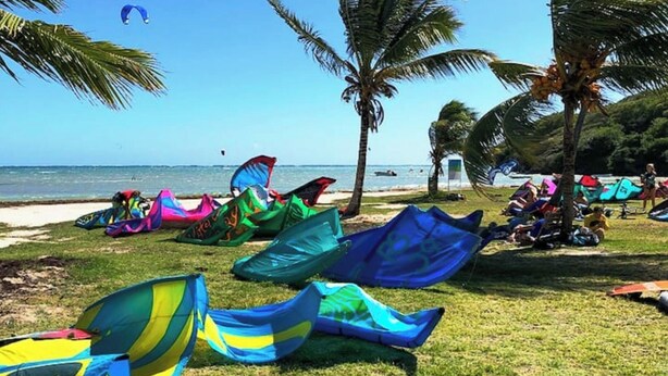 A beach with colorful kites and palm trees. - Bélya - Peaceful gîte with terrace and sea view (Le Vauclin)