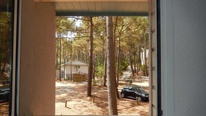 On voit, à travers une fenêtre, une maison entourée de grands arbres, avec une voiture garée à proximité.