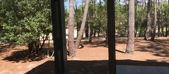 WARM AND SPACIOUS HOUSE