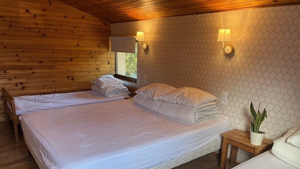 A room with two beds, wooden walls, hexagonal patterned wallpaper, and a small bedside table with a plant. - Ferme des Jonquilles à Gérardmer (15p) (Gérardmer)