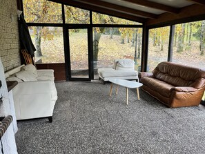 Televisión, chimenea, reproductor de DVD y futbolito 