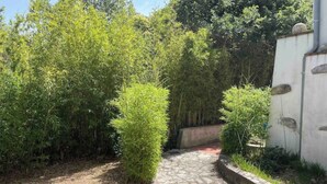 Un camino de piedra que atraviesa un jardín con abundante vegetaci ón y un muro de hormigón a la derecha.