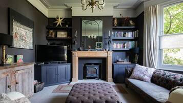 Smart TV, fireplace, DVD player, books