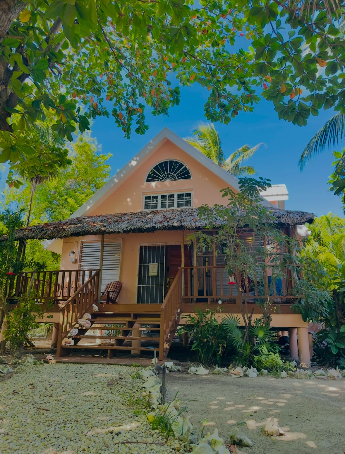 Keep cool in the shade of our tropical almond tree that gently drapes the front