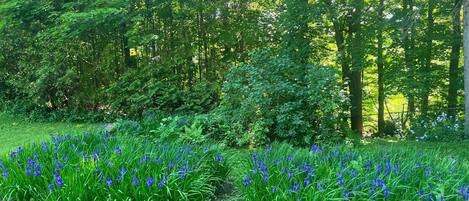 Terrain de lâhĂ©bergement