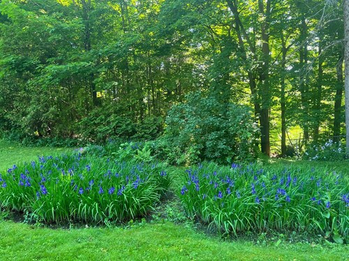 Kilburn Manor 1820 Historical house