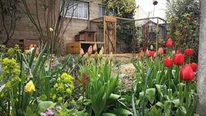 A garden with various flowers and a wooden structure in the background. - Independent industriel chalet @O&R's (Villejuif)