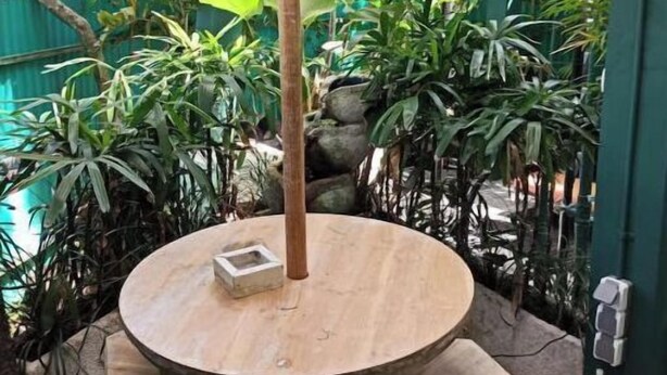 Une table ronde en bois sur laquelle se trouve un objet carré, le tout entouré d’une clôture métallique verte et de différentes plantes.