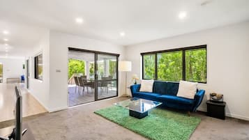 TV, Netflix, streaming services