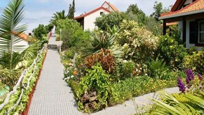 A pathway leading to a house surrounded by lush greenery and a tiled walkway. - Quinta da Quebrada (Santana)