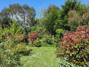 A garden with various plants and trees, a pathway, and a building in the background.