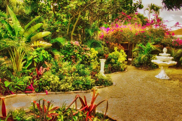 Property grounds - Villa Bougainvilla remodeled Historic mission spanish house! (West Palm Beach)