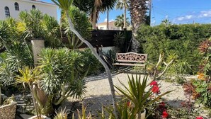 A garden with various plants and a bench.