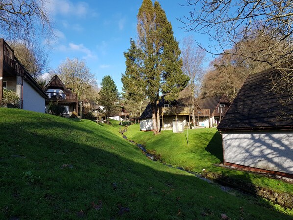 Cottage | Property grounds - Valley Lodge 55 (Gunnislake)