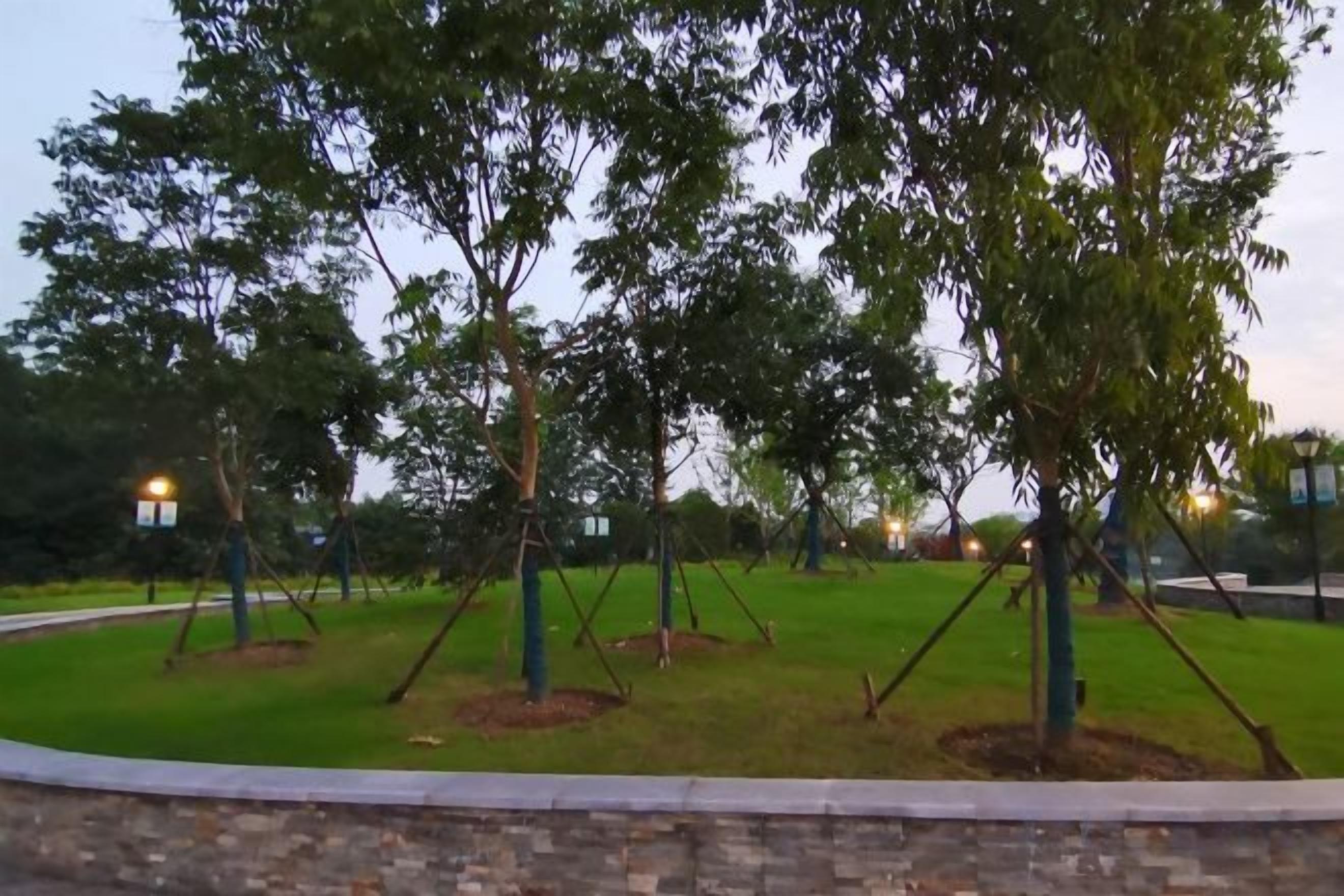 Un parque con árboles y un sendero pavimentado.