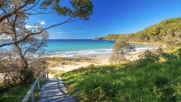 A coastal pathway leading to a beach with clear blue waters, surrounded by lush greenery and trees.