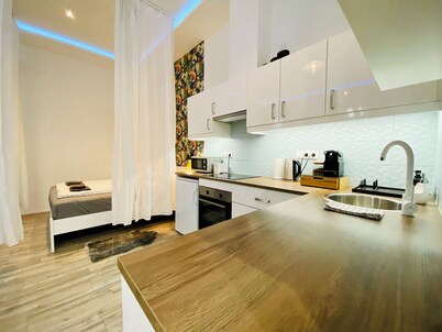 Chic Luxury Central Studio with A/C - Tropical House