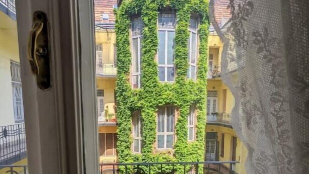 A window with a view of a building covered in green ivy. - Large Peaceful 1BR Central Apt A/C - Yellow House (Budapest)