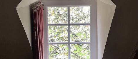 A dormer window with a view of trees, a white ceiling, and a brown wall.
