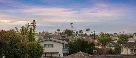 A residential area with houses, some with tiled roofs, and palm trees in the background.