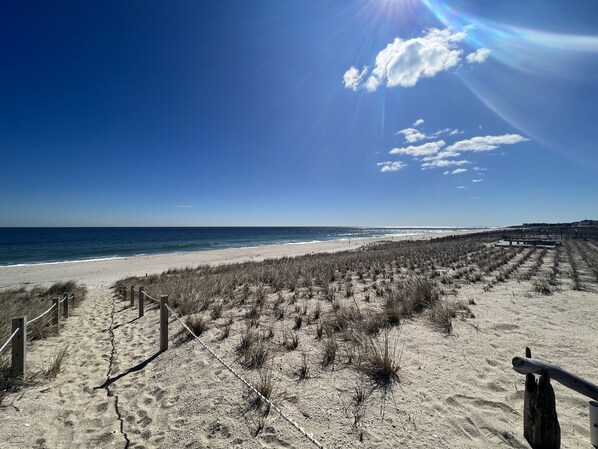 On the beach - Ocean View Beach Cottage W/ Shared "Private" Beach #2 (Point Pleasant Beach)