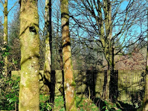 The Coach House, Canonbie