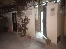 A building entrance with a metal gate, a potted plant, and a concrete pathway leading to a door.