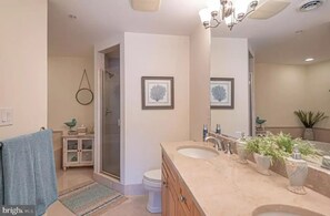 Shower, hair dryer, soap, toilet paper - Luxury 3BR, 4BA Oasis: Beach is 2 blocks away, Indoor Pool, sleeps 8! Waterfront (Ocean City)