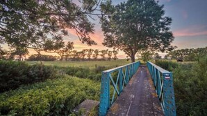 Un puente de metal con barandillas, rodeado de follaje y árboles, que conduce a una vista del atardecer.