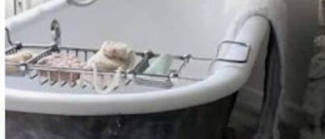 Une baignoire ancienne sur pieds, dotée d’un pommeau de douche, d’un porte-serviettes et d’un savonnetteur.