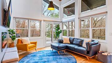 Smart TV, fireplace, video-game console