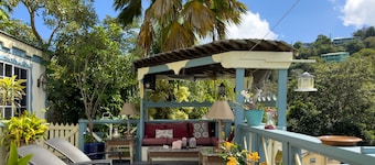 ST.JOHN, VIRGIN ISLANDS! 2 BEDROOM, 1.5 BATH, BEAUTIFUL TROPICAL GARDENS!