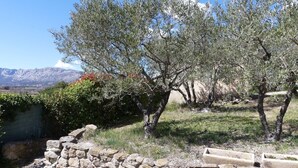 A stone wall, olive trees, and a mountainous backdrop. - L'Olivette (Pourrières)