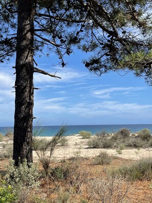 Serviettes de plage