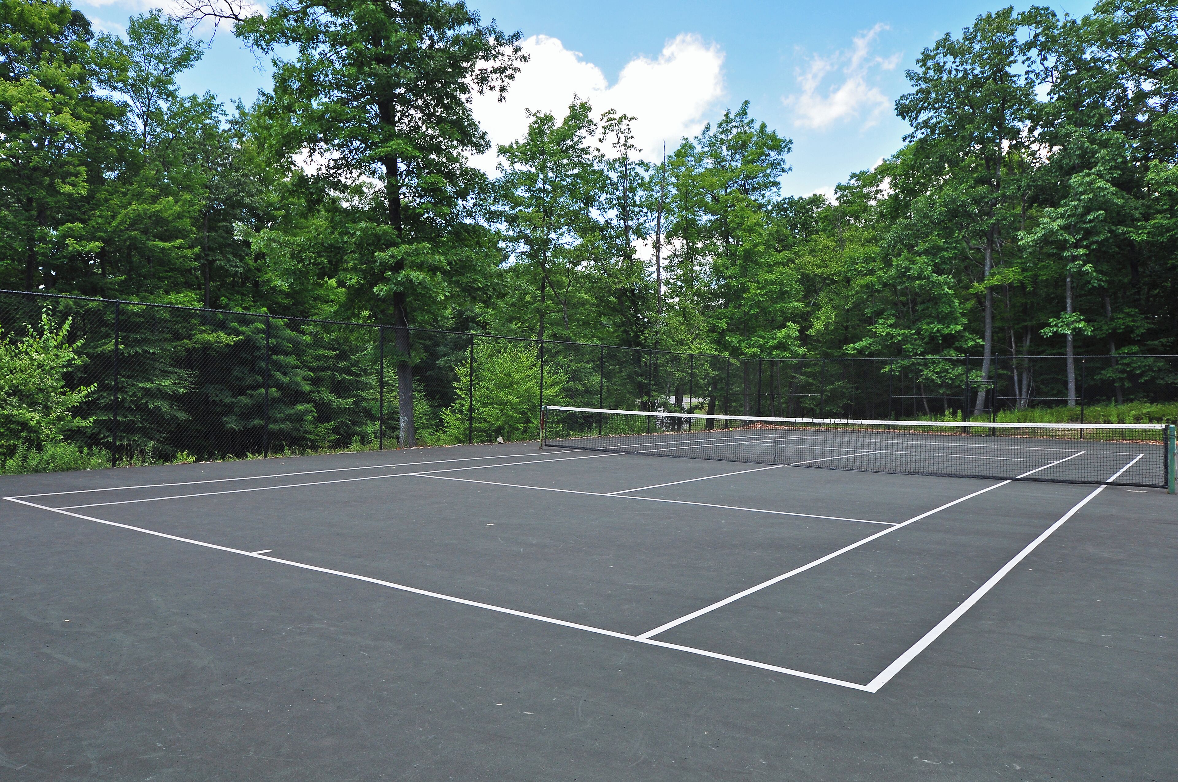 A tennis court surrounded by trees.