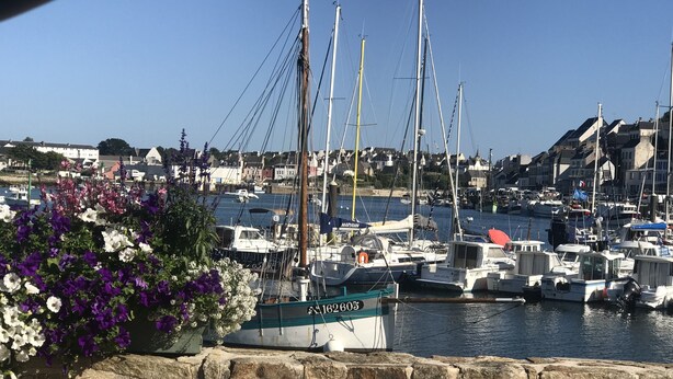 A marina with multiple boats docked, a stone wall in the foreground, and houses in the background.