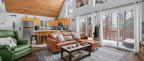 TV connectée, cheminée, jeux vidéo, lecteur de DVD