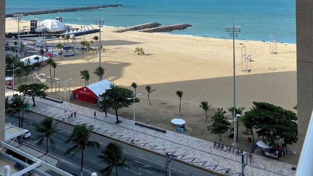 A beach view with a clear sky, a sandy beach, and a road with palm trees.