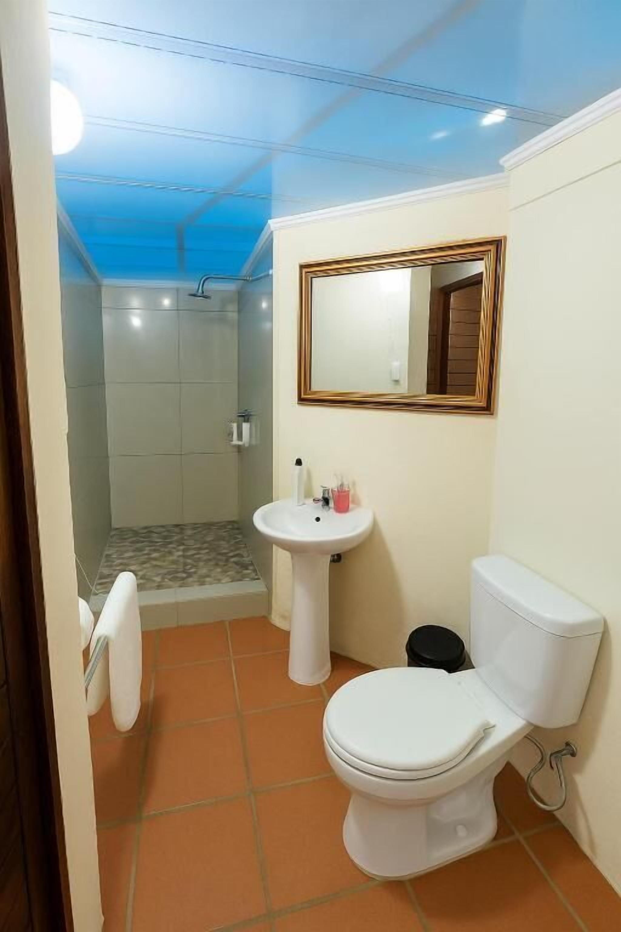 A bathroom with a shower, sink, toilet, and a mirror.