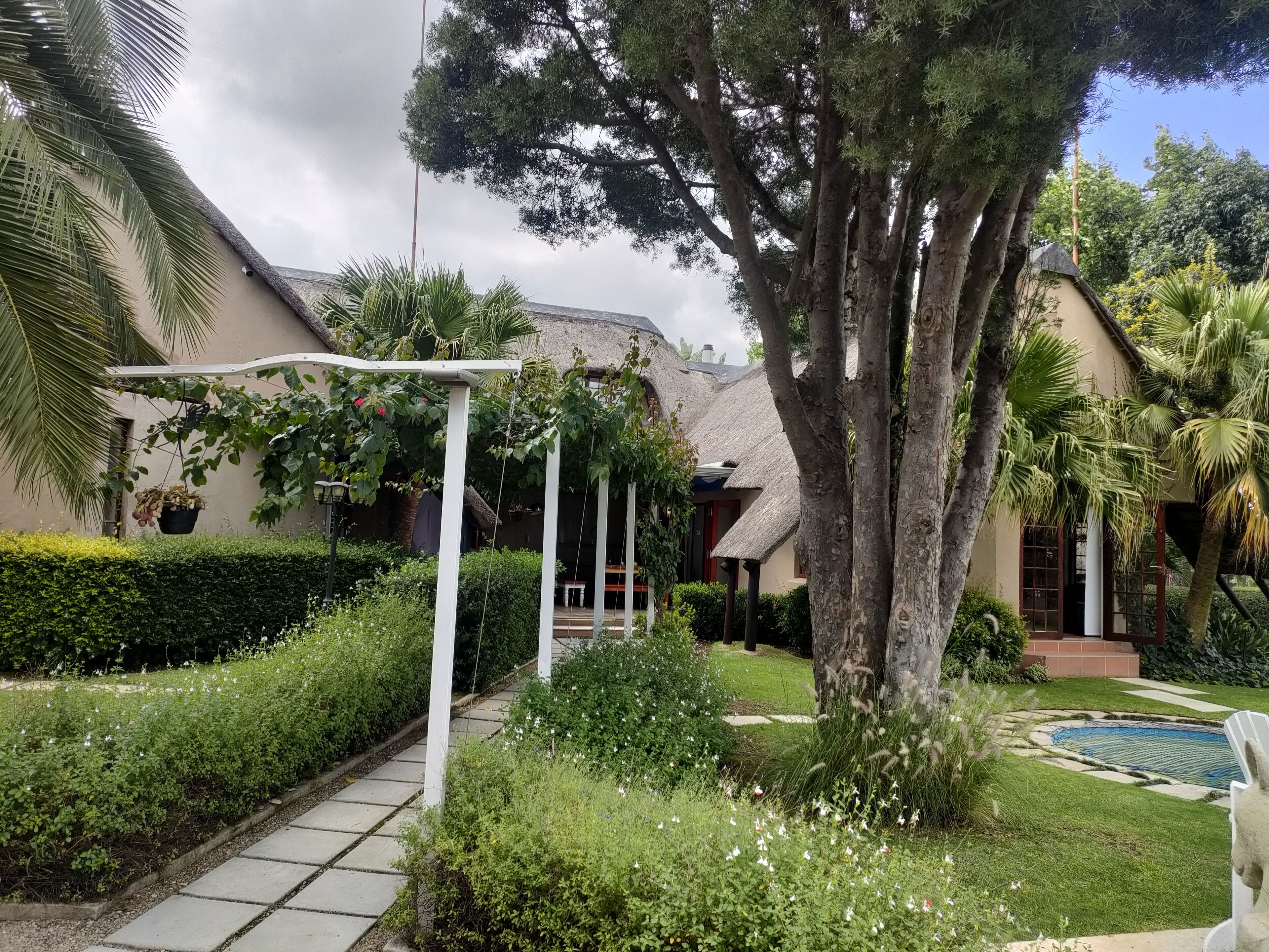 A garden with a pathway, a large tree, and a building with a thatched roof.