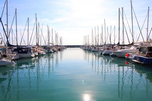 A marina with numerous boats docked in calm waters.