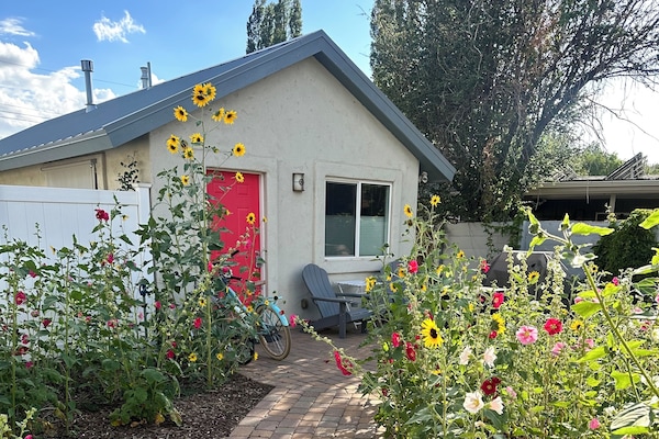 Summer garden. Walk through a forest of flowers to the front door.