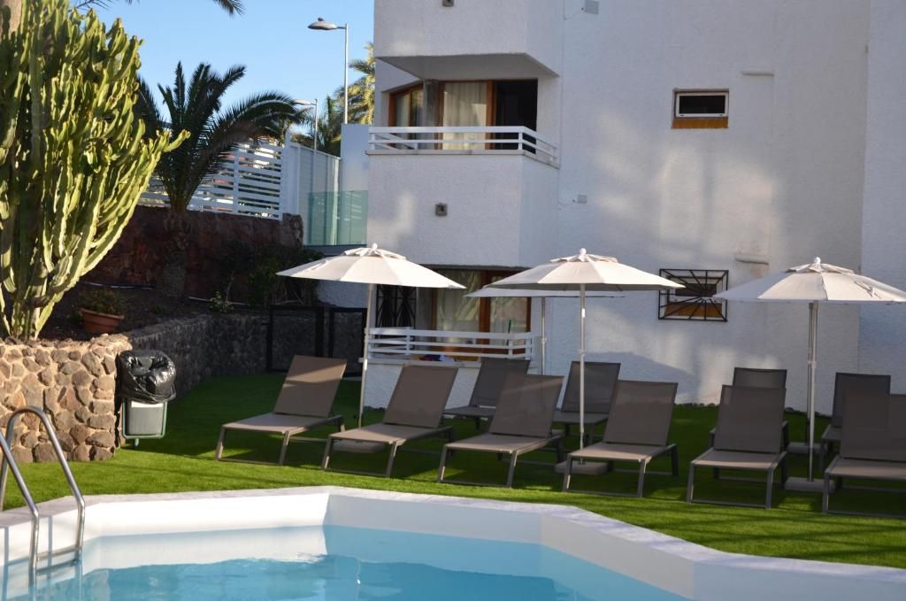 A pool area with lounge chairs and umbrellas, a white building with balconies, and a cactus plant.